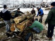 O copilă din Gorj și-a dorit lemne de ziua ei, să nu mai tremure de frig în casă, în loc de jucării sau dulciuri. Înlăcrimaţi, oamenii i-au umplut curtea cu lemne de foc