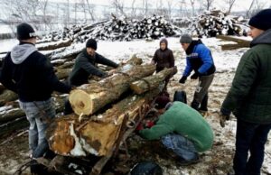 O copilă din Gorj și-a dorit lemne de ziua ei, să nu mai tremure de frig în casă, în loc de jucării sau dulciuri. Înlăcrimaţi, oamenii i-au umplut curtea cu lemne de foc