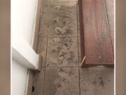 Cartier din Craiova, sufocat de cenuşă. Oamenii se plâng că nici măcar nu pot deschide geamurile caselor