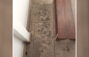 Cartier din Craiova, sufocat de cenuşă. Oamenii se plâng că nici măcar nu pot deschide geamurile caselor