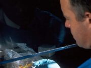 Un bărbat s-a vindecat de HIV după ce a urmat un tratament pentru cancer