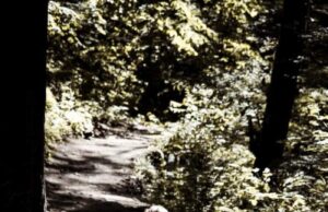 Fetiță de 3 ani din Suceava, călcată mortal cu mașina de propriul tată. Cum s-a întâmplat tragedia