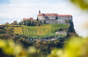 Românii se răzbună virtual pe prințul care l-a ucis pe ursul Arthur. Val de recenzii negative pentru castelul său din Austria