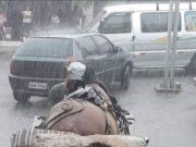 Pilda calului: un prieten adevărat