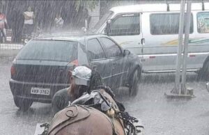 Pilda calului: un prieten adevărat