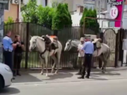 Întâmplare inedită în Craiova. Doi turiști străini s-au rătăcit după ce plecaseră spre Castelul Bran