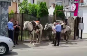 Întâmplare inedită în Craiova. Doi turiști străini s-au rătăcit după ce plecaseră spre Castelul Bran