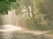 ANM: Cod roşu de ploi torenţiale în judeţele Bacău, Vrancea, Brăila şi Galaţi