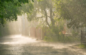 ANM: Cod roşu de ploi torenţiale în judeţele Bacău, Vrancea, Brăila şi Galaţi