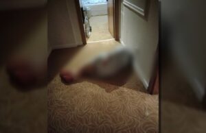 Bătrâni „executați” în aziluri private. O femeie ne-a povestit drama prin care a trecut mama ei: „Făcuse deja găuri în piele. Urla din toate puterile”