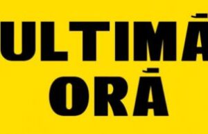 Marius Csampar, criminalul care a îngrozit România, a cucerit inima unei brunete sexy! “Sper să nu fii a șaptea victimă!” + declarațiile iubitei asasinului