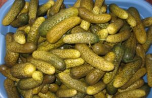 Castraveti murati in saramura