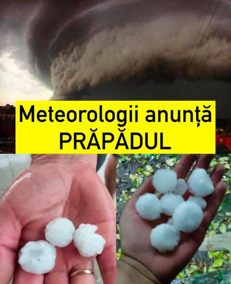 ALERTĂ! Meteorologii anunță PRĂPĂDUL cel MARE. VIN PLOILE..