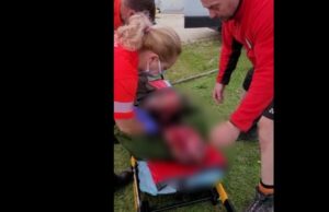 Trei ciobani au fost atacați de un urs la o stână din Harghita. Unul dintre ei a fost găsit mort