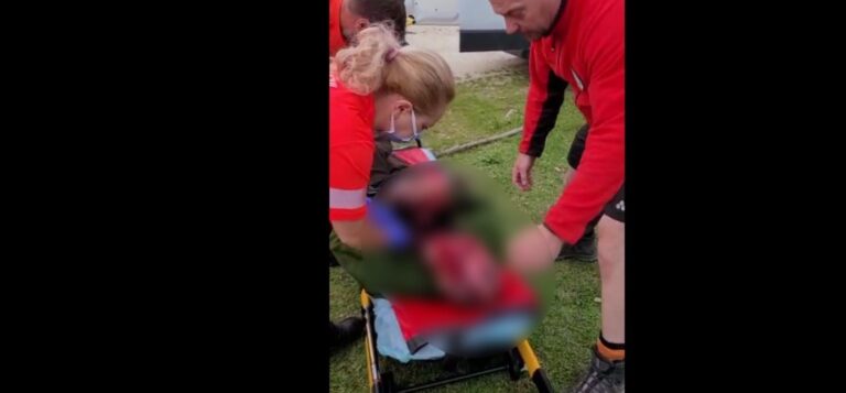 Trei ciobani au fost atacați de un urs la o stână din Harghita. Unul dintre ei a fost găsit mort