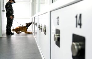 Câinii poliţişti vor depista persoanele cu COVID-19 pe aeroportul din Sibiu. Patrupedele vor intra în acțiune de la 1 august