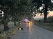 ULTIMĂ ORĂ! Accident infiorător. O fată de 14 ani și alți doi tineri de 18 și 19 ani au murit după ce maşina în care se aflau s-a izbit de un copac