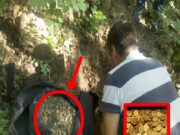 Un tânăr din Vâlcea a găsit o comoară pe care a predat-o autorităților, dar pentru că au uitat să îl recompenseze, bărbatul și-a făcut curaj și s-a dus direct la tribunal. Ce a urmat apoi, numai la noi se poate întâmpla! A primit..