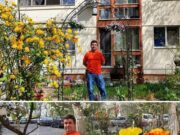 Un bucureștean fost reclamat de zeci de ori pentru ca a plantat flori în grădina blocului. „M-a terorizat. În două săptămâni cred că am 20 de reclamații”