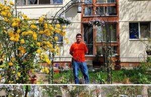 Un bucureștean fost reclamat de zeci de ori pentru ca a plantat flori în grădina blocului. „M-a terorizat. În două săptămâni cred că am 20 de reclamații”