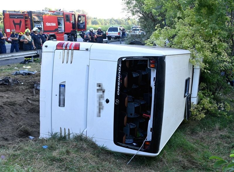 Carnagiu pe șosea! Opt persoane au murit într-un accident Carnagiu pe șosea! Opt persoane au murit într-un accident