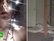 Polițiștii au împietrit, după ce au intrat într-un apartament. Cum au găsit-o pe o femeie, pe fiica și pe pisica ei