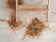 O fetiță s-a întors de la școală cu părul tuns de o profesoară.