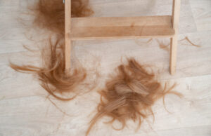 O fetiță s-a întors de la școală cu părul tuns de o profesoară.