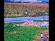 Un bărbat a fost filmat aruncând mai mulți cățeluși în pungi. A fost identificat și amendat