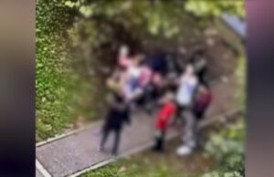 Bătaie ca-n ringul de box între două adolescente. Poliţia s-a autosesizat după ce scenele violente au ajuns pe Internet