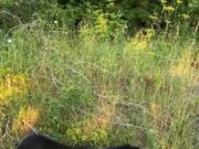 O tânără din Rusia călătorește în mașină cu un urs himalayan pe locul pasagerului din dreapta