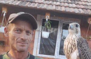 Un bărbat din Arad s-a trezit cu 20 de mii de euro în curte, după ce un uliu valoros a zburat din Slovacia în România