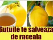 Beneficiile gutuilor și ale frunzelor de gutui. Cum se pot consuma