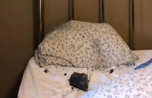 O femeie s-a trezit cu un meteorit în pat. A căzut la câțiva centimetri distanță de capul său