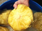 Varza murata – reteta traditonala