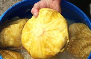 Varza murata – reteta traditonala