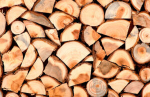 S-au scumpit lemnele de foc și sunt din ce în ce mai greu de găsit. La magazine s-au făcut liste de așteptare
