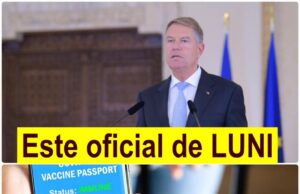 ULTIMA ORA! Certificatul verde, obligatoriu pentru toate activitățile și în aproape toate instituțiile, de luni. Anunțul făcut de Ministerul Sănătății