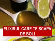 Elixirul MINUNE! Strângeți 1 lămâie într-o lingură de ulei de măsline și vă veți aminti pentru tot restul vieții