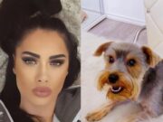 Oanei Zăvoranu i s-a furat câinele. Ce mesaj le-a transmis hoților