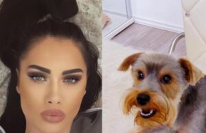 Oanei Zăvoranu i s-a furat câinele. Ce mesaj le-a transmis hoților