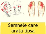 Lipsa vitaminei B12 creste riscul de Alzheimer, scleroza multipla, depresie, anxietate, tulburari de invatare si dezvoltare la copii. Cum o recunosti si ce trebuie sa faci…