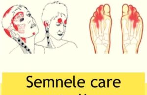 Lipsa vitaminei B12 creste riscul de Alzheimer, scleroza multipla, depresie, anxietate, tulburari de invatare si dezvoltare la copii. Cum o recunosti si ce trebuie sa faci…