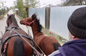 Românii de la sate, sătui de politicieni: Am votat ca proștii. Se bălăcăresc în public și pe partea cealaltă își fac mersurile