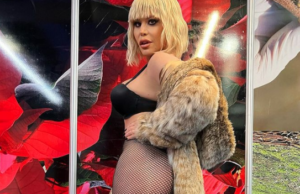 Loredana Groza, ținută obraznică pentru Moș Nicolae: sutien și ciorapi plasă. Imaginile care arată tot