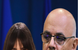 SCADALOS: Dana Budeanu a depăşit orice limită! ŞOC pe INTERNET: ce a putut să spună despre Raed Arafat