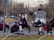 Un jandarm din București a alunecat și a căzut de pe cal de Ziua Națională