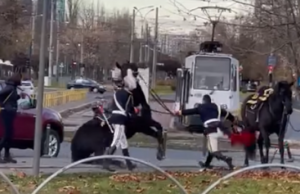Un jandarm din București a alunecat și a căzut de pe cal de Ziua Națională
