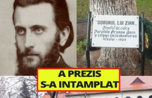 A PREZIS: Stejarul lui Arsenie Boca a căzut din senin. Fusese plantat de el. Prezicerea era legata de..
