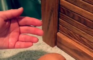 Un Gospodar Și-A Găsit Găina Moartă Dimineața, După Ce A Făcut Un Ou Cât Pumnul De Mare! Bărbatul Și-A Făcut Cruce Când L-A Spart Și A Văzut Ce Era La Interior